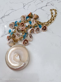 Natural Sea Shells