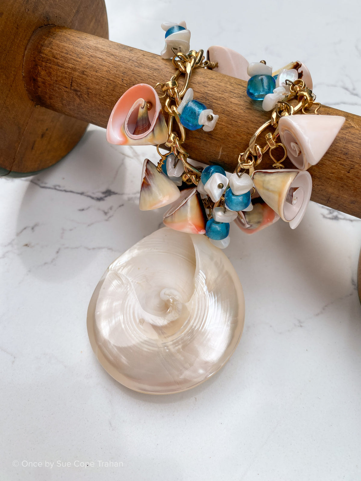 Natural Sea Shells