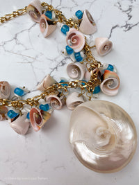 Natural Sea Shells